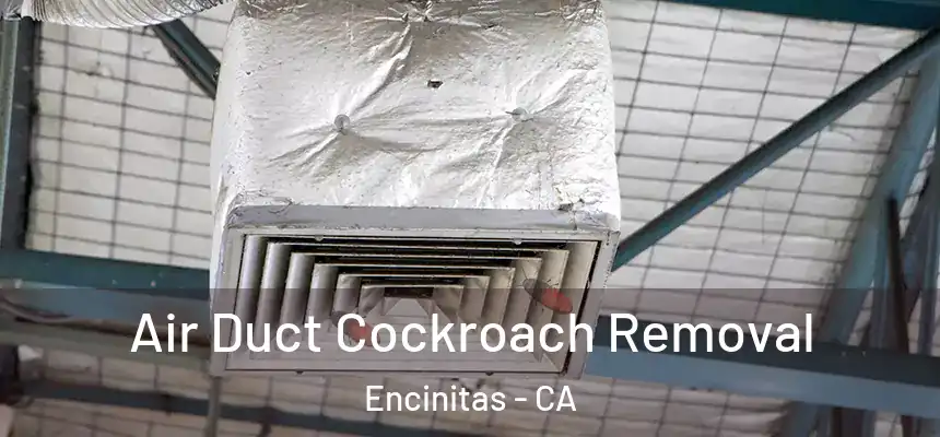  Air Duct Cockroach Removal Encinitas - CA