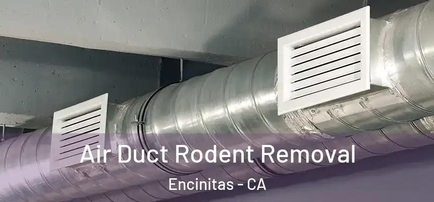 Air Duct Rodent Removal Encinitas - CA