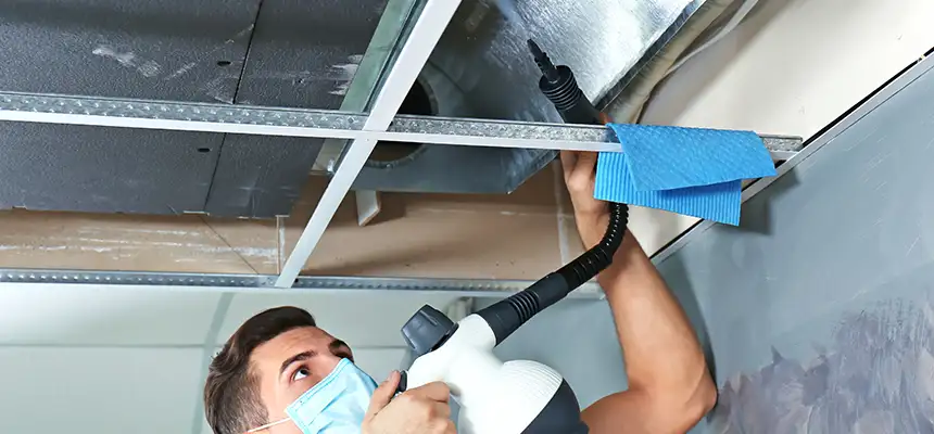 Our Air Duct Rodent Removal Services in Encinitas, CA