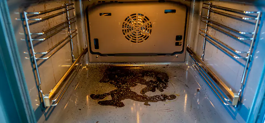 Our Dryer Vent Mold Cleaning Services in Encinitas, CA