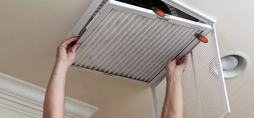 Our Insect Removal from Air Ducts Services in Encinitas, CA