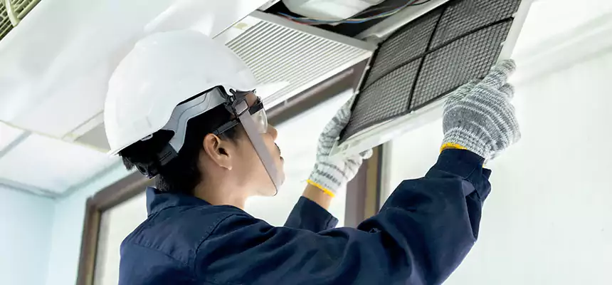 Our Mold & Mildew Removal from Air Ducts Services in Encinitas, CA