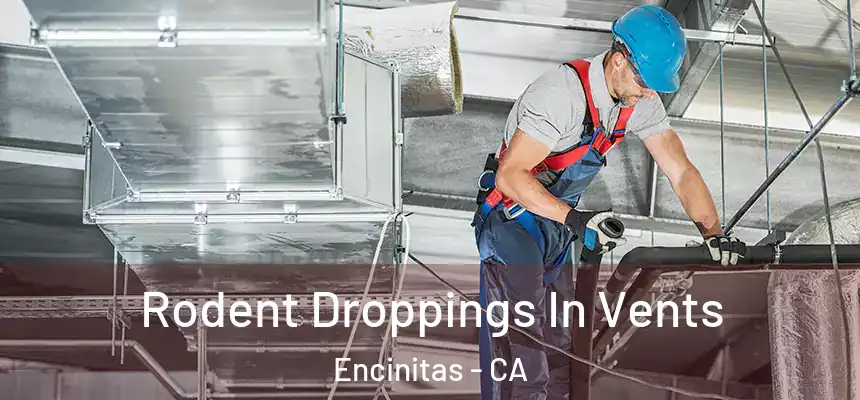 Rodent Droppings In Vents Encinitas - CA