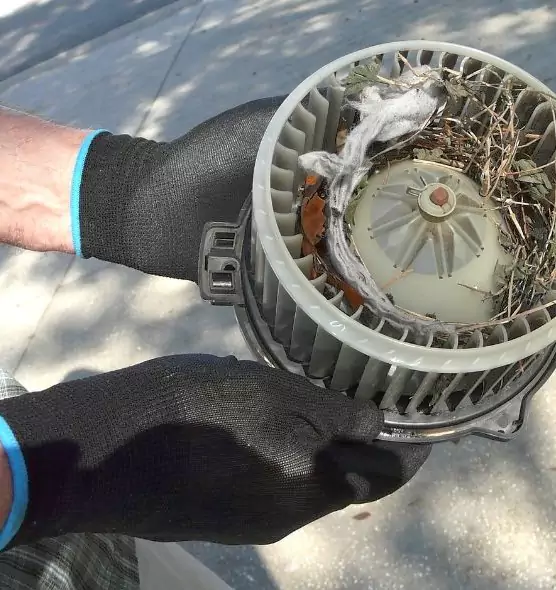 About Air Duct Rat Removal in Encinitas, CA