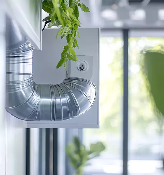 Professional Eco-Friendly Duct Cleaning Services in Encinitas, CA