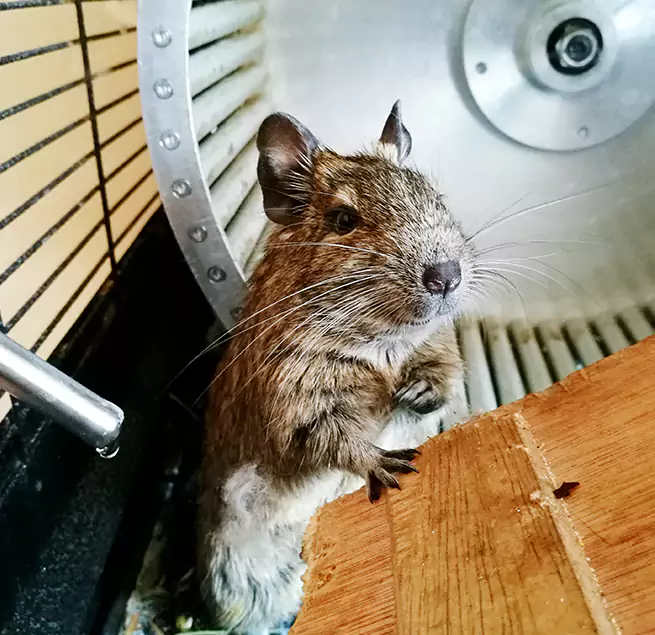 Why Homeowners & Businesses Trust Us Encinitas, CA