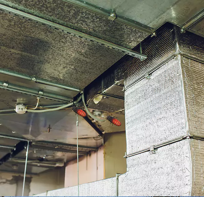 Why Homeowners & Businesses Trust Us Encinitas, CA?