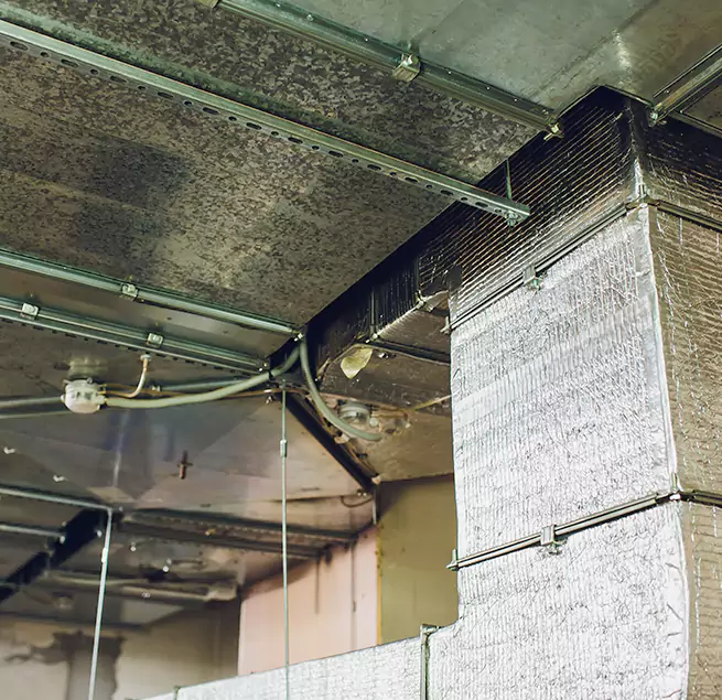 Why Homeowners & Businesses Trust Us in Encinitas, CA?